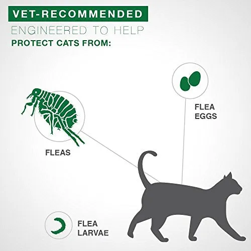 Advantage II 2-Dose Flea Prevention and Treatment for Large Cats, Over 9 Pounds