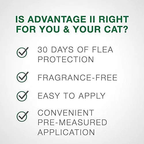 Advantage II 2-Dose Flea Prevention and Treatment for Large Cats, Over 9 Pounds