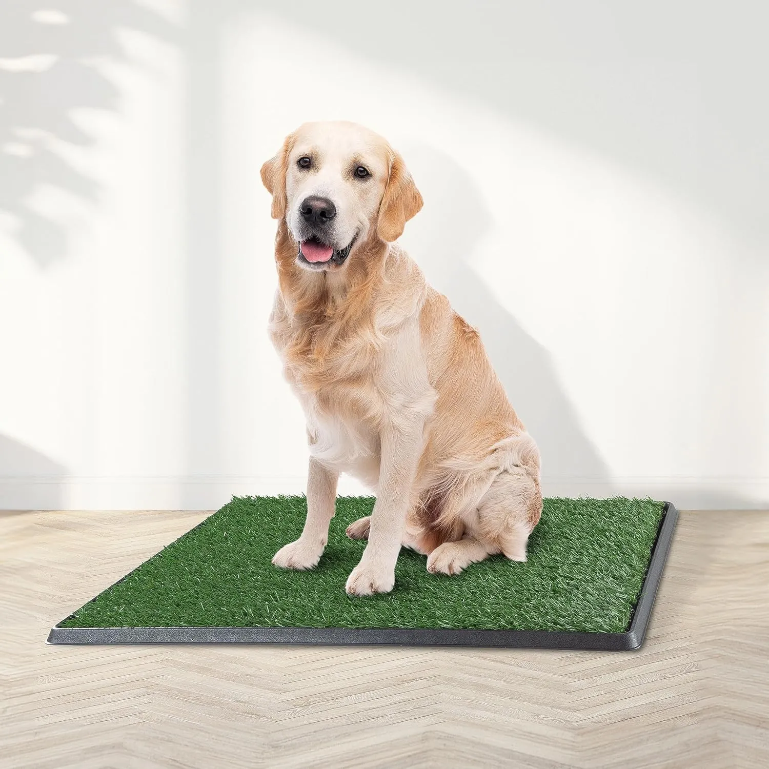 Artificial Grass Puppy Pee Pad for Dogs and Small Pets - 20x30 Reusable 4-Layer Training Potty Pad with Tray - Dog Housebreaking Supplies by PETMAKER, PET6200