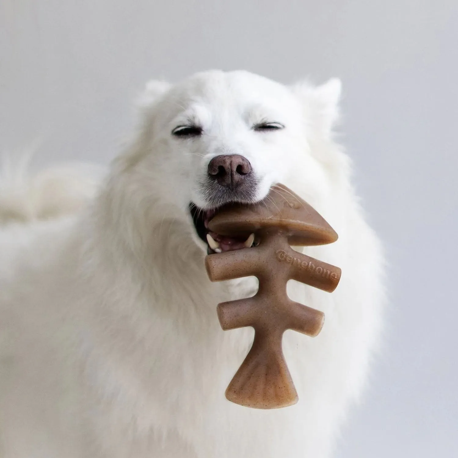 Benebone Fishbone Salmon Flavor