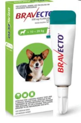 Bravecto 10-20kg Spot On