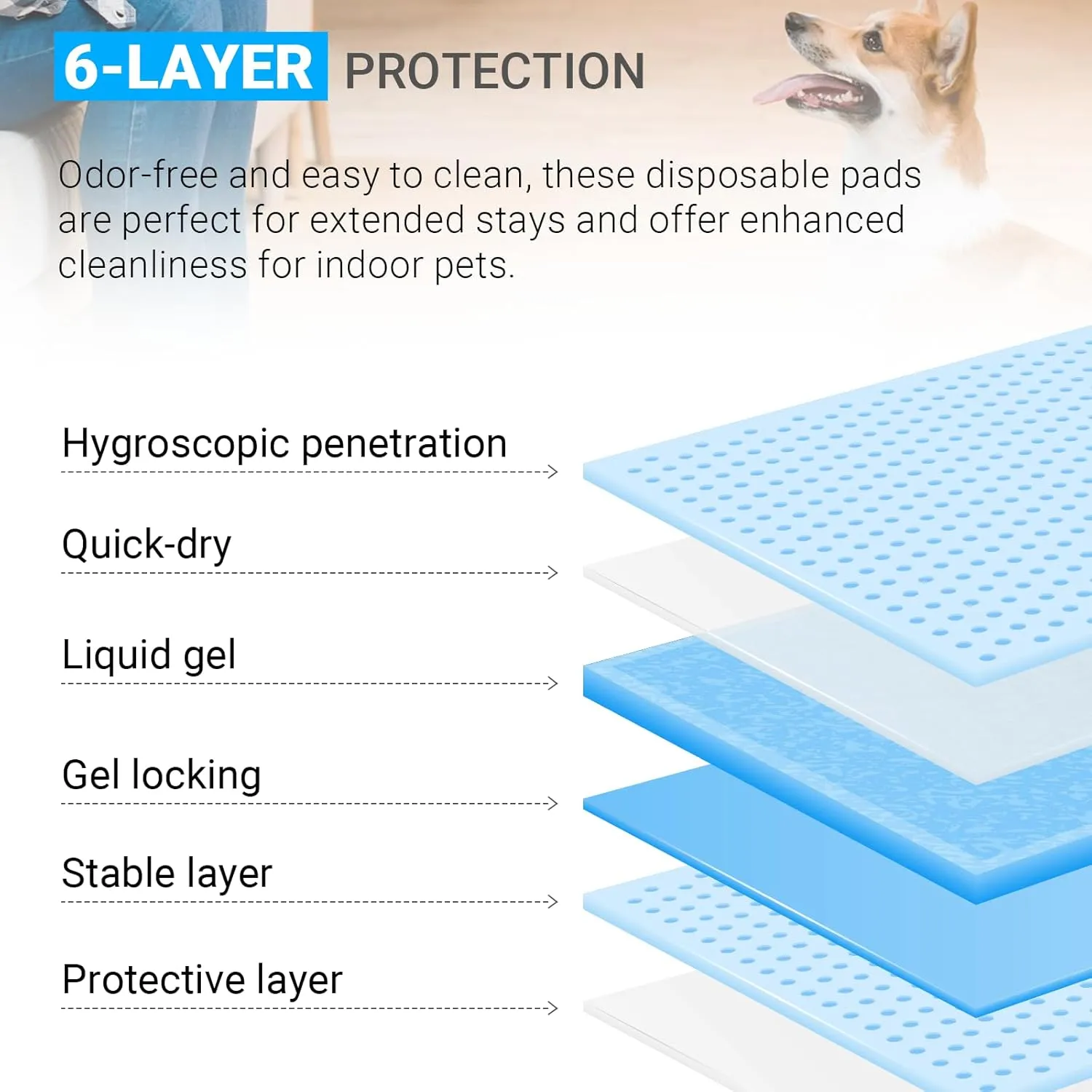 CALPALMY XL Pet Training Pee Pads (50-Count) - X-Large 28" x 34" Training Pad, Disposable Thicken Pee Pads for Dogs, Puppies, Large Dogs, Cats, and Rabbits - Quick Absorb Doggie Potty Pads