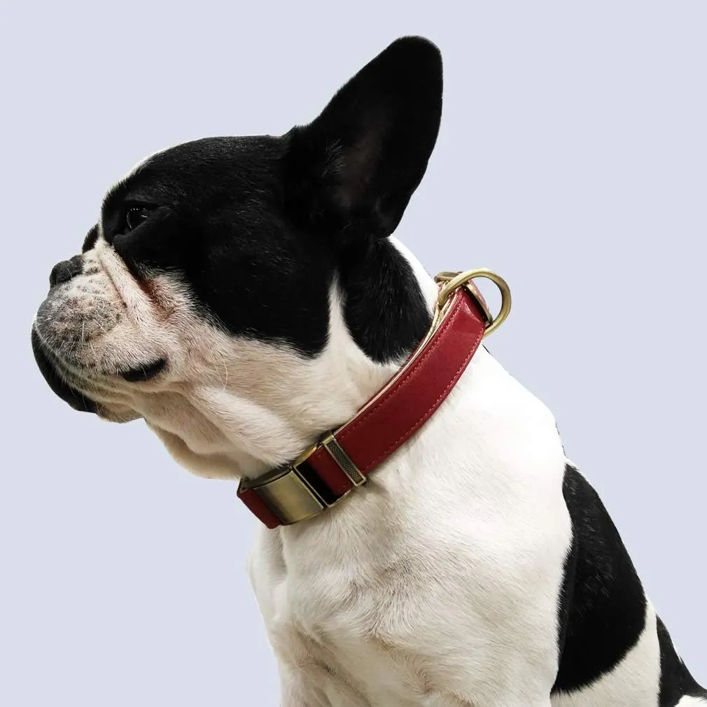chede Basic Classic Luxury Padded Leather Dog Collar,The Seatbelt Buckle,for Small Medium Large Pets (Small(Pack of 1), Red)