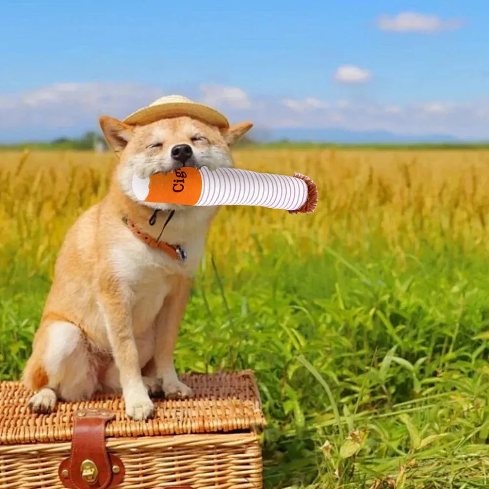 Cigarette Themed Dog Chew Toy Set – Interactive Plush Chew Toy for Dogs