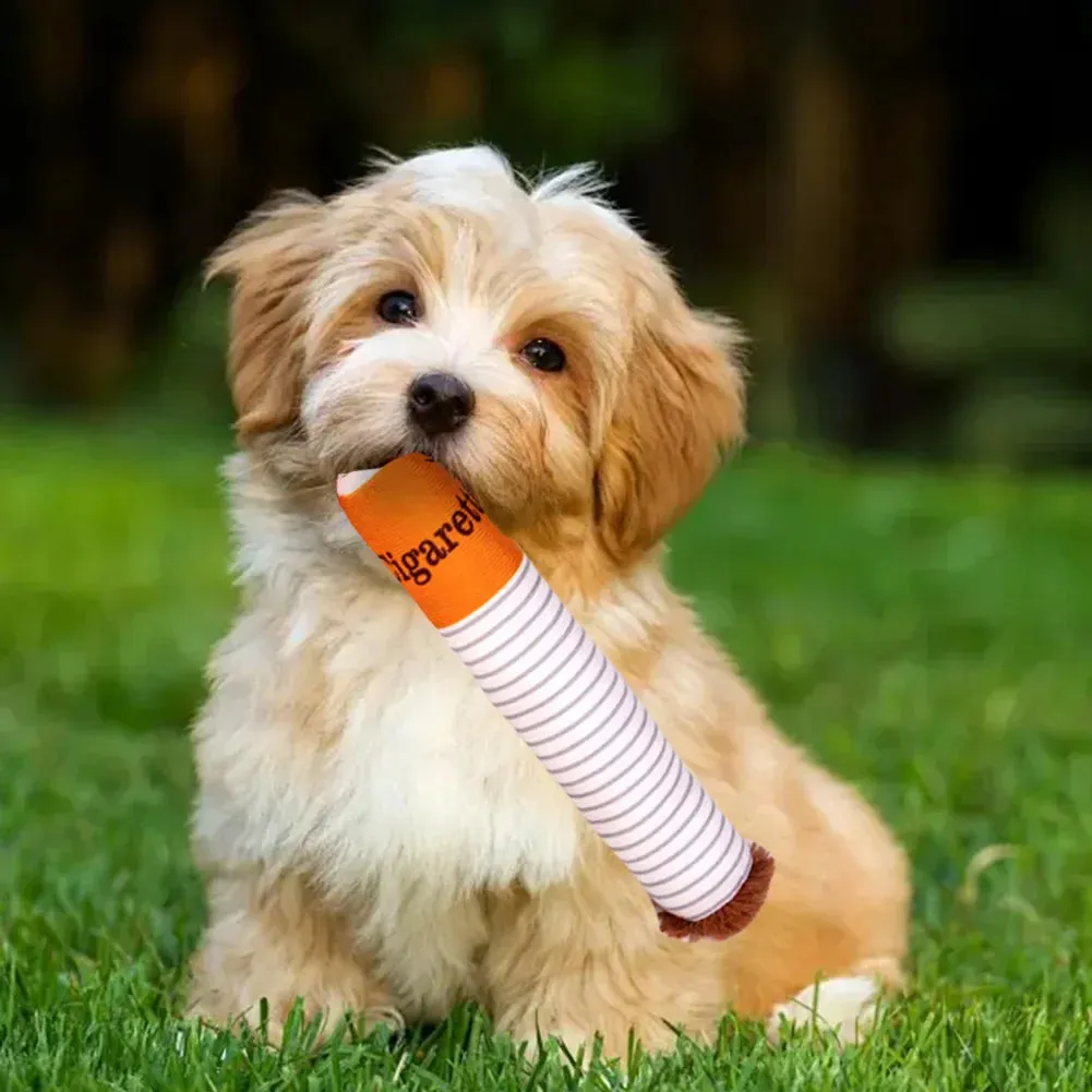 Cigarette Themed Dog Chew Toy Set – Interactive Plush Chew Toy for Dogs