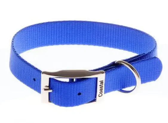 Coastal Single-Ply Nylon Collar - SMALL - 5/8 x 14In