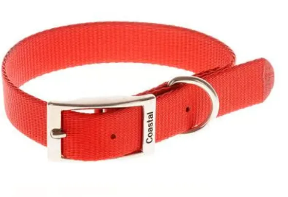 Coastal Single-Ply Nylon Collar - SMALL - 5/8 x 14In