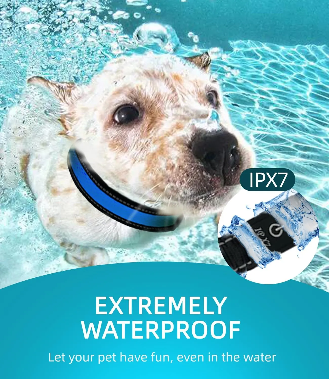 COMOIL Waterproof Led Dog Collar, USB Rechargeable Light Up Dog CollarAdjustable Fit Glow Collar for Walking, Jogging and Running at Nigh(Blue S)