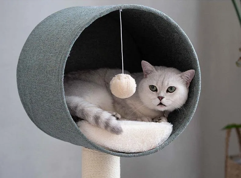 Concise Style Cat Cave and Cat Tree 2 in 1 Cat Climbing Frame Cat Toy Solid Wood Stand