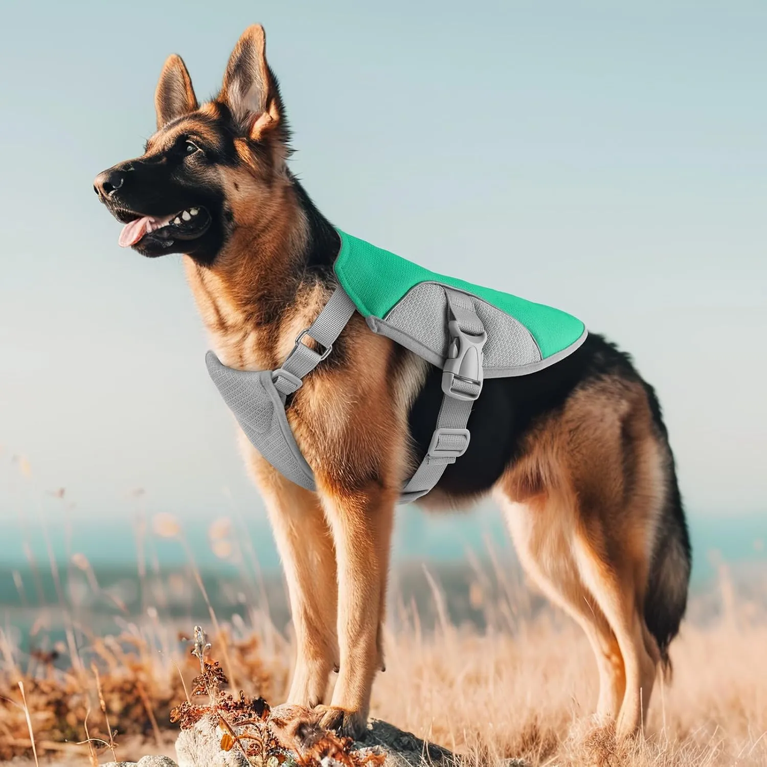 Dog Cooling Vest Harness UV Protection Pet Cooler Jacket with Adjustable Buckle for Summer Beach and Hiking Green-Small
