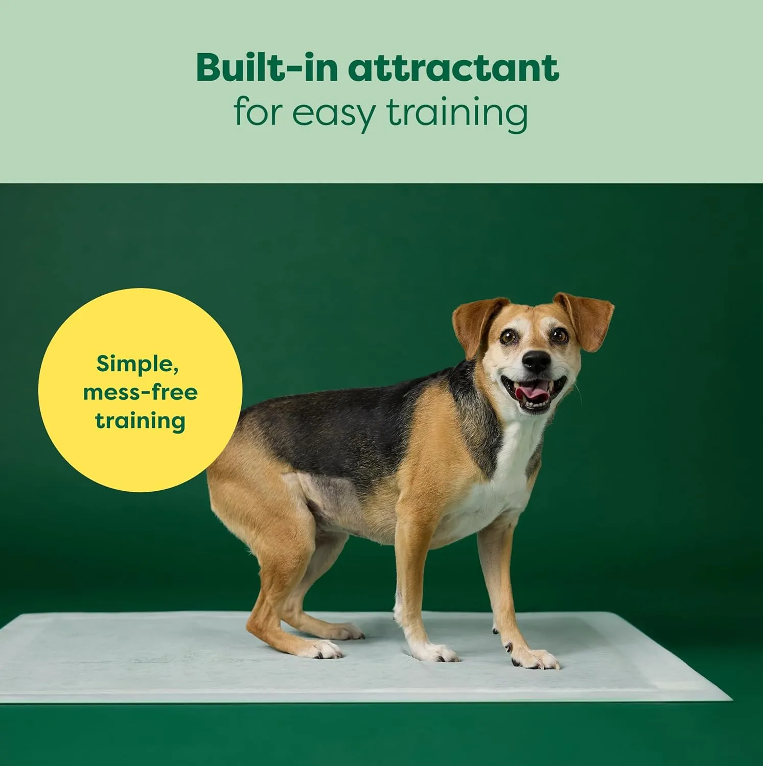 Earth Rated 3-in-1 Max Absorbency Puppy Pee Pads for Dogs, Odor Blocking, Leak Prevention Potty Training Pad, 3XL, 36 x 36 Inches, 7 Count