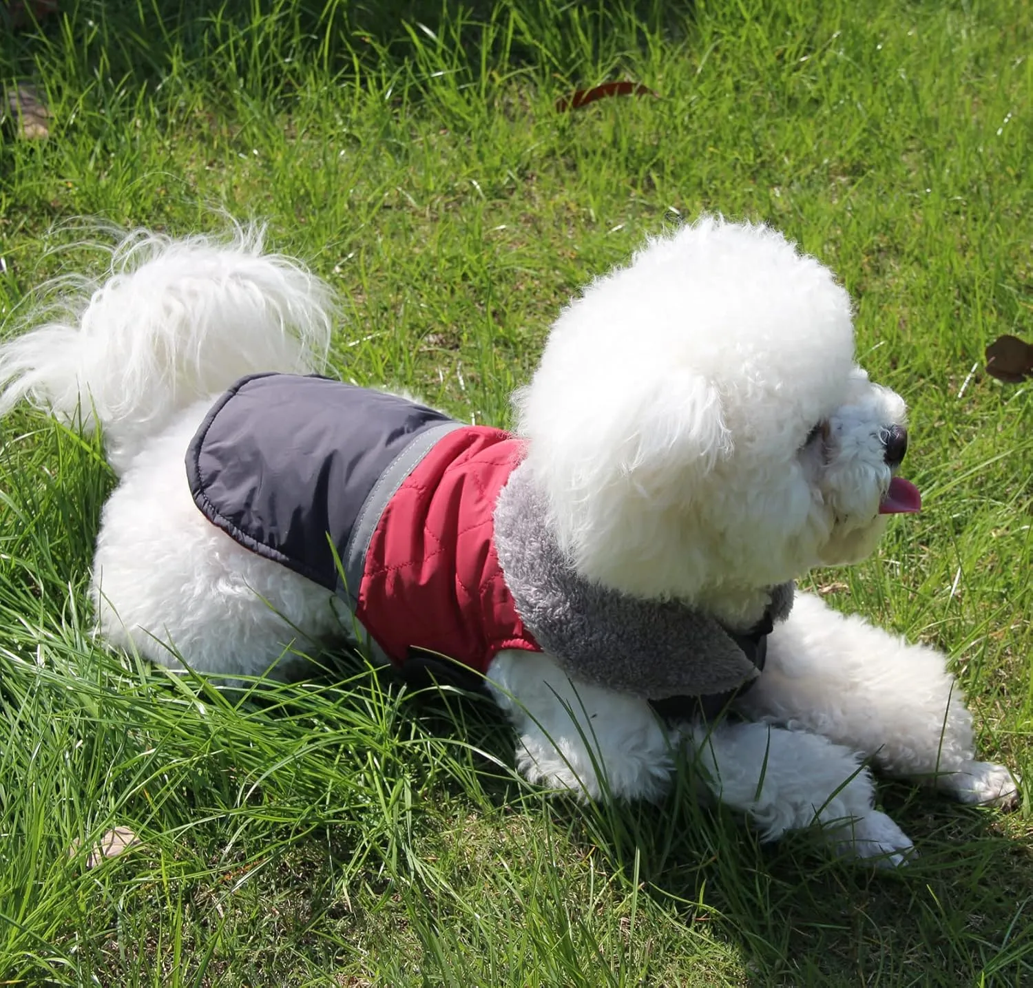 Fleece Collar Reversible Dog Coats for Small Dogs Waterproof Warm Puppy Jacket for Cold Winter,Red XS