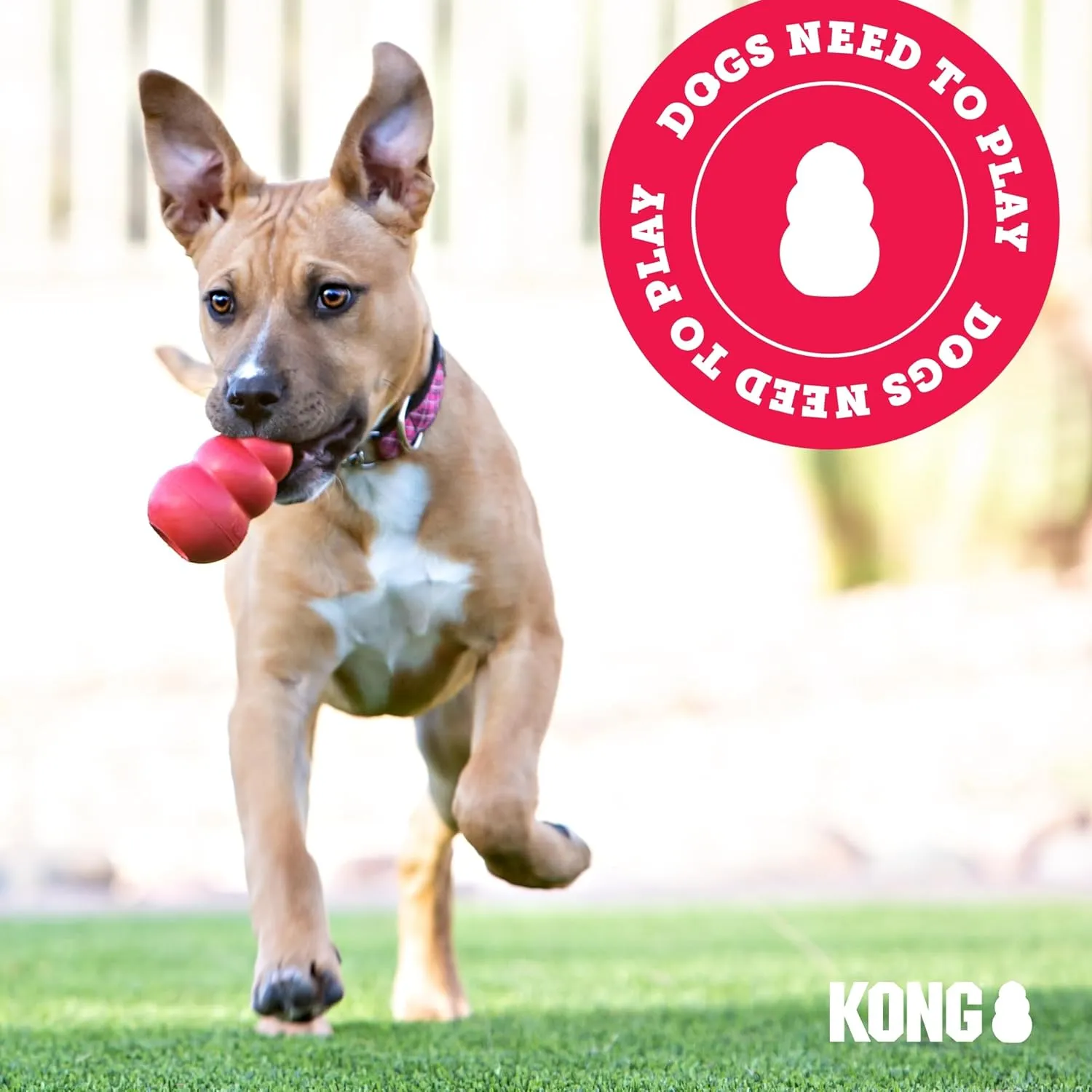 KONG Extreme Tires - KONG's Most Durable Natural Rubber Chew & Fetch Toy - Treat Dispenser Dog Tire Toy - Pet Supplies for Outdoor & Indoor Play - For Medium/Large Dogs