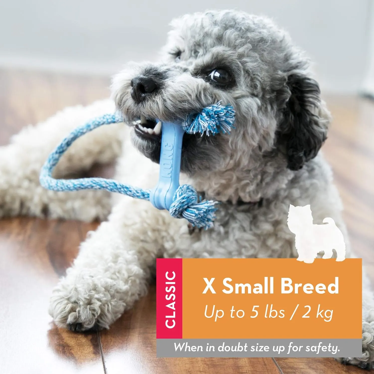 KONG Puppy Goodie Bone with Rope - Natural Rubber Bone with Cotton Rope - Teeth Cleaning Chew Toy for Growing Puppies - for XS Puppies - Blue