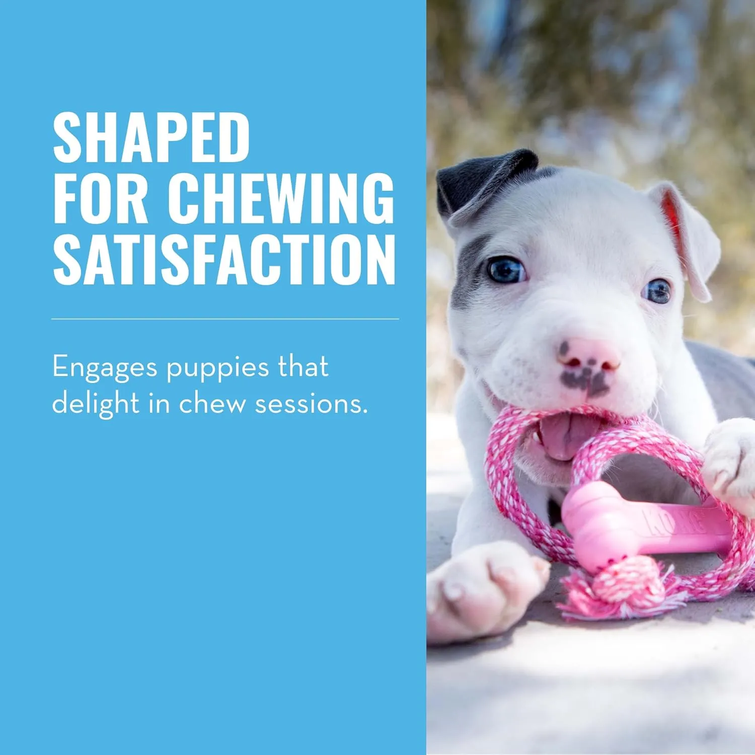 KONG Puppy Goodie Bone with Rope - Natural Rubber Bone with Cotton Rope - Teeth Cleaning Chew Toy for Growing Puppies - for XS Puppies - Pink