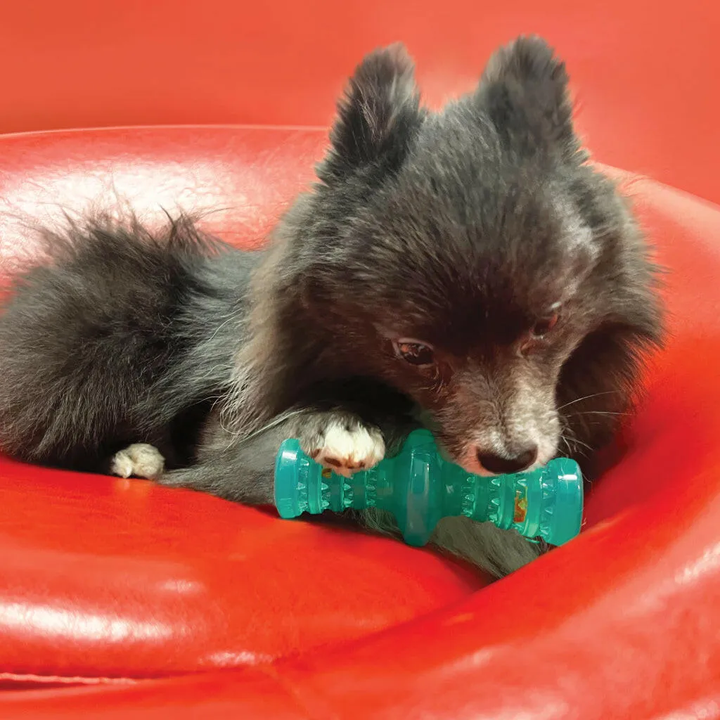Kong Squeezz Dental Roller Chew Stick Toy For Dogs