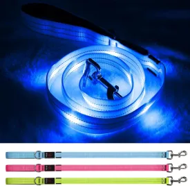 Led Light Up Dog Leash - 4 Ft Rechargeable Waterproof Nylon Reflective With Padded Handle for Night Walking, Safety Glow in The Dark for Large Medium Small Pets