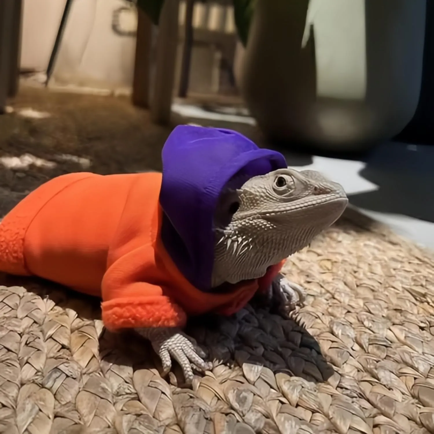 Lizards Clothes for Bearded Dragon - Handmade Cotton Hoodies Warm Sweater Coat Reptiles Apparel Costume Skin Protection Photo for Lizard Bearded Dragon Crested Gecko Chameleon (Orange,Large)