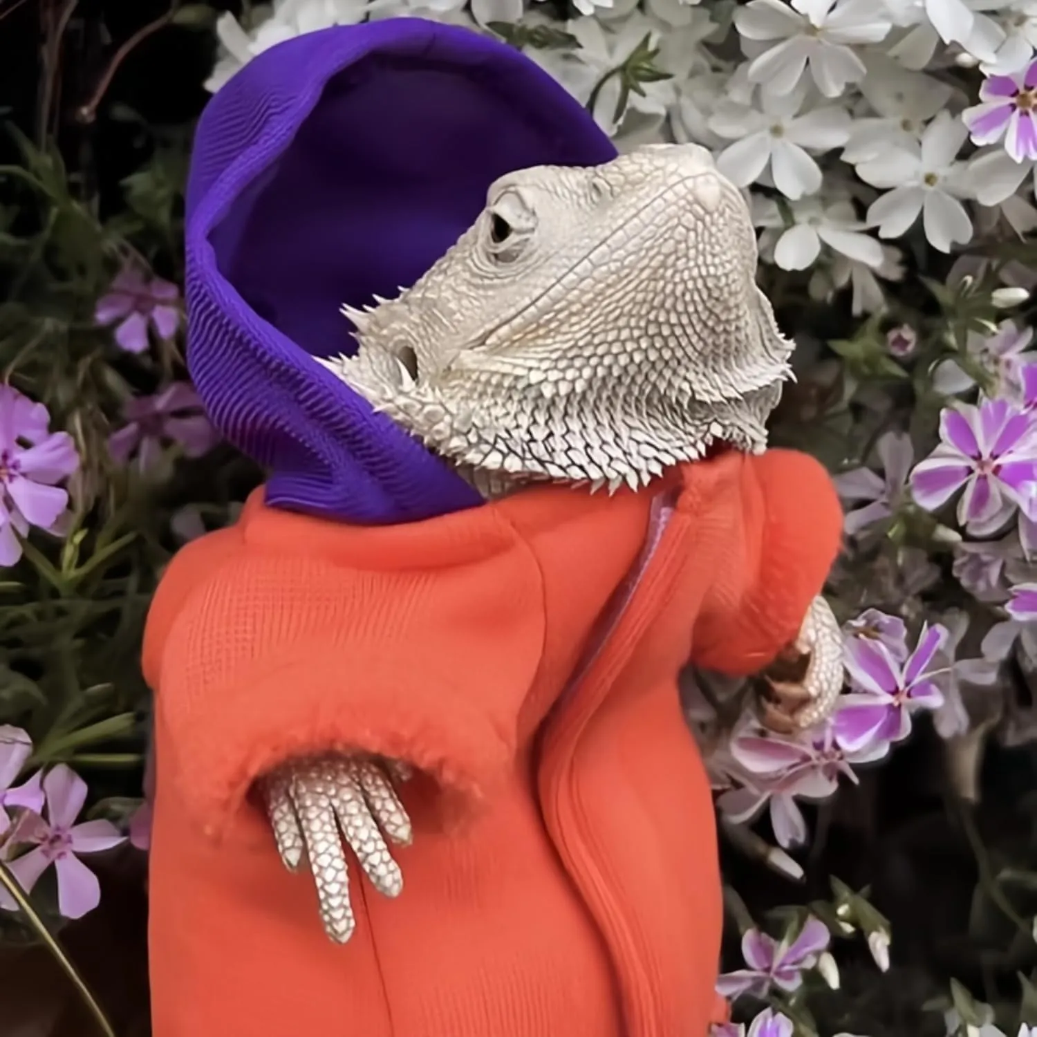 Lizards Clothes for Bearded Dragon - Handmade Cotton Hoodies Warm Sweater Coat Reptiles Apparel Costume Skin Protection Photo for Lizard Bearded Dragon Crested Gecko Chameleon (Orange,Large)