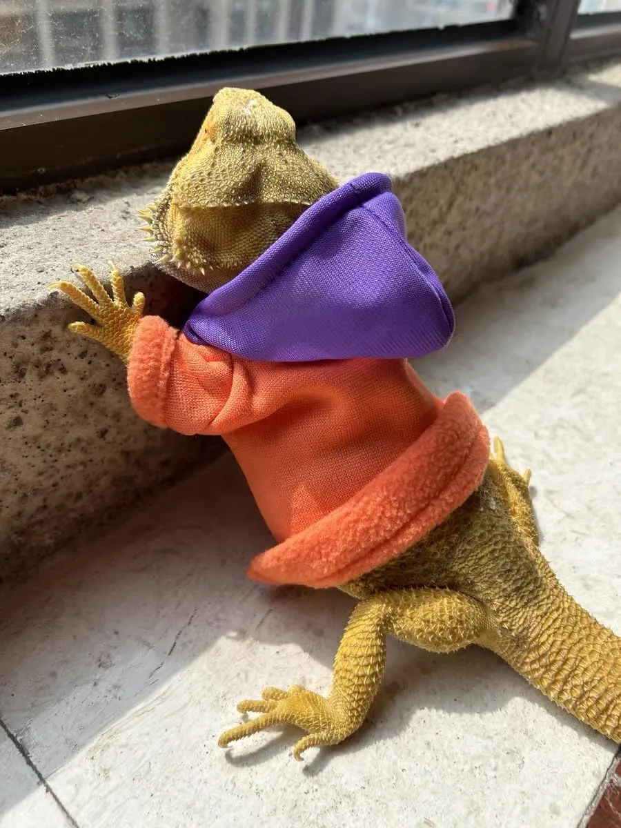 Lizards Clothes for Bearded Dragon - Handmade Cotton Hoodies Warm Sweater Coat Reptiles Apparel Costume Skin Protection Photo for Lizard Bearded Dragon Crested Gecko Chameleon (Orange,Large)