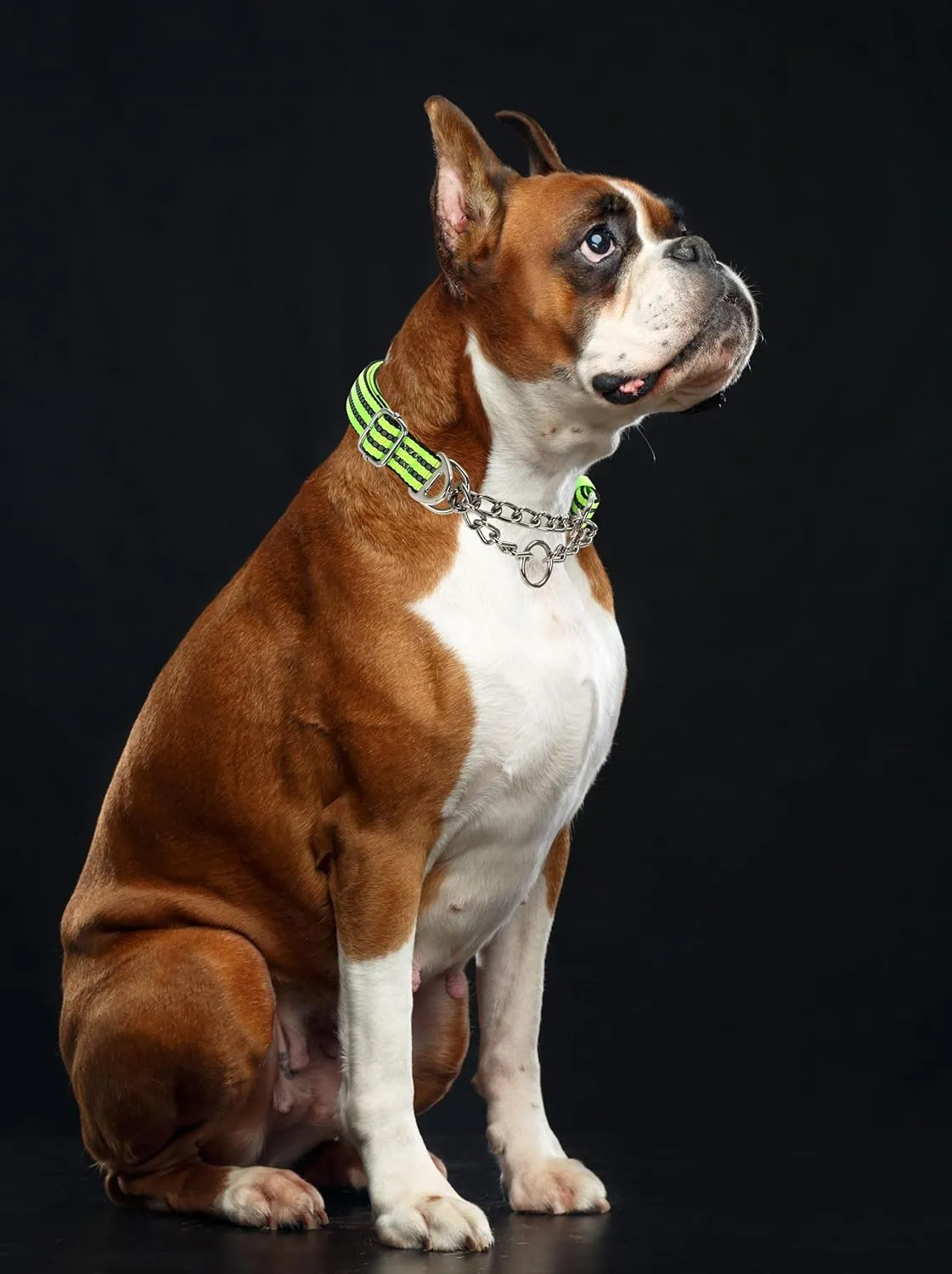 Martingale Collar for Large Dogs, Male Reflective Nylon Dog Chain Collar Escape Proof Heavy Duty Dog Collar with Stainless Steel Chain Adjustable for Medium Large Dogs Orange