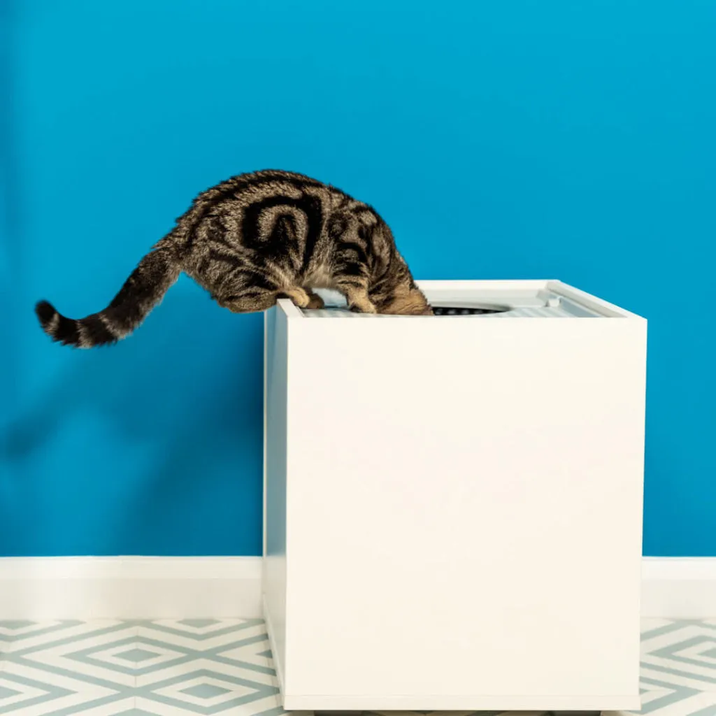 Maya Cat Litter Box Furniture Omlet