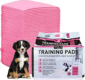 Murphy & Roxy Dog Training Pads  Extra-Large Absorbent Pee Pads for Dogs, Puppies, and Cats, Leak-Proof Backing and Odor Control, Unscented, 100 Count (26x30 Inches)