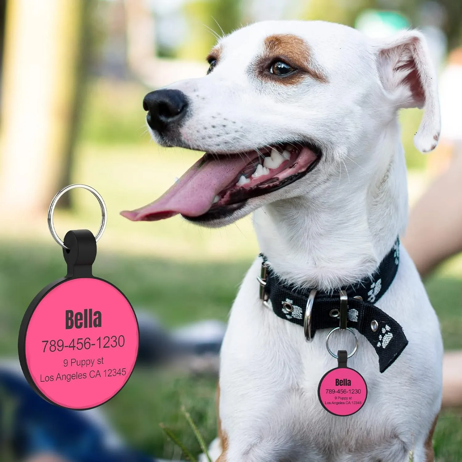 MYLUCKYTAG Personalized Dog ID Tags - Silent Silicone QR Code Tags - Pet Online Profile - Send Pet Location Alert Email When Scanning