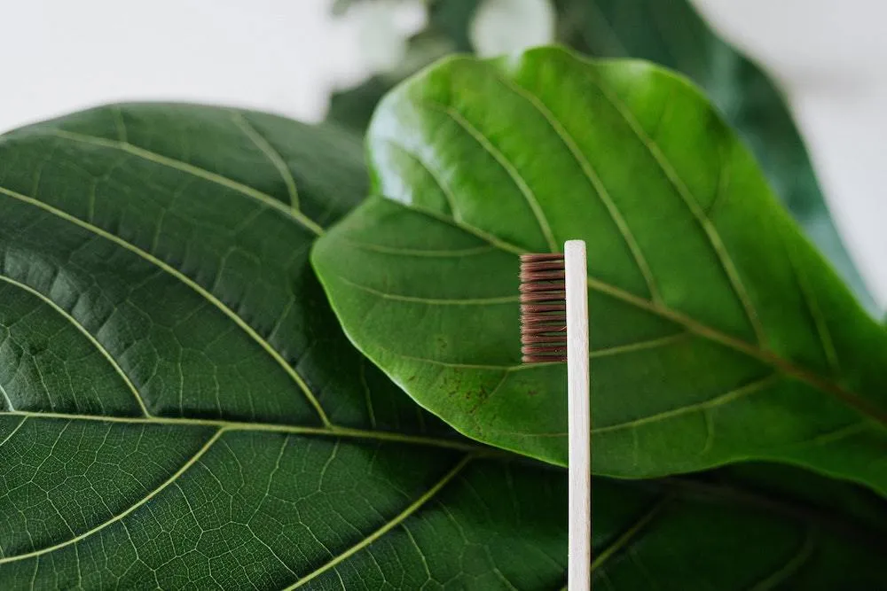 Natural Bamboo Antibacterial Toothbrushes - Set of 12 pieces