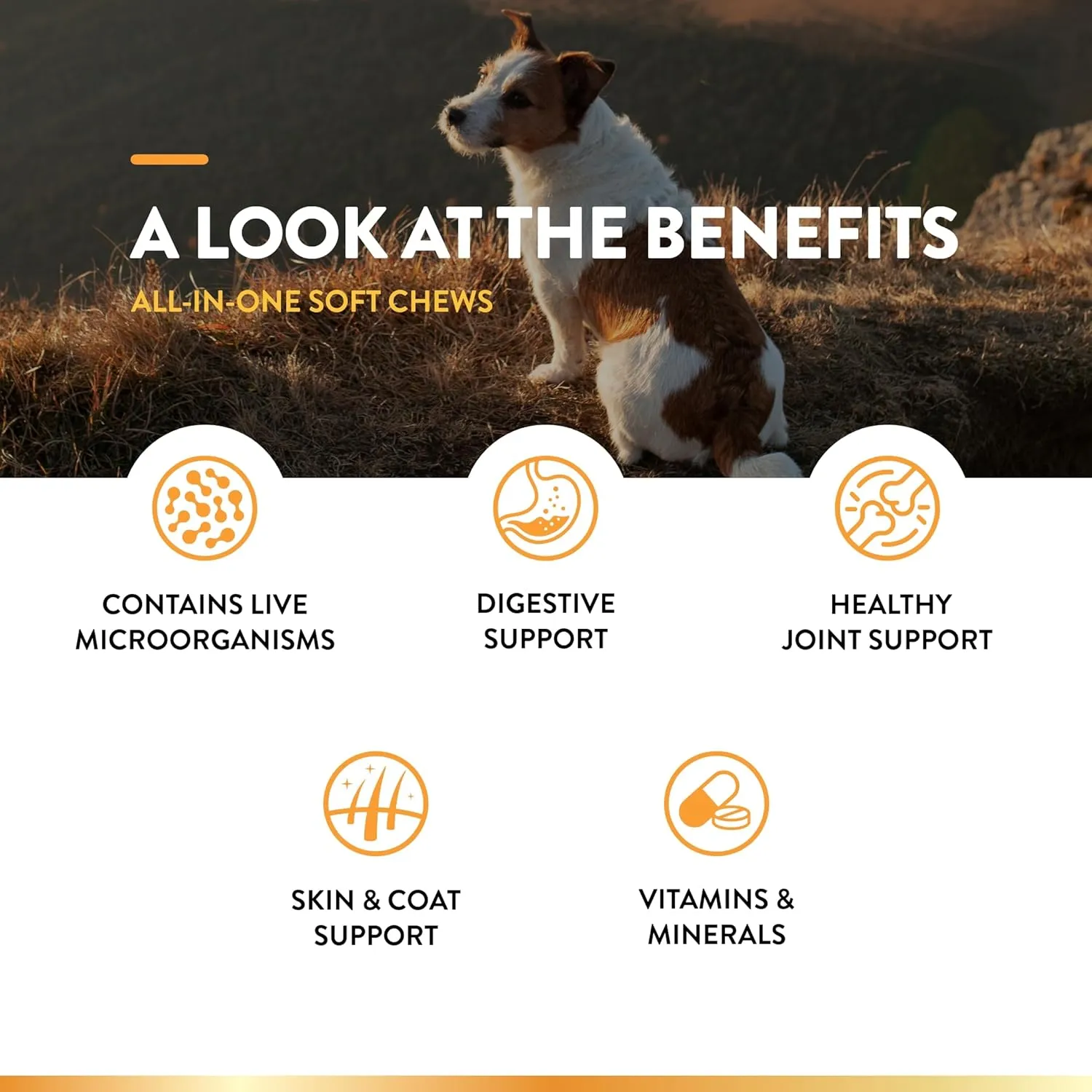 NaturVet All-in-One Dog Supplement - for Joint Support, Digestion, Skin, Coat Care  Dog Multivitamins with Minerals, Omega-3, 6, 9  Wheat-Free Vitamins for Dogs  60 Soft Chews