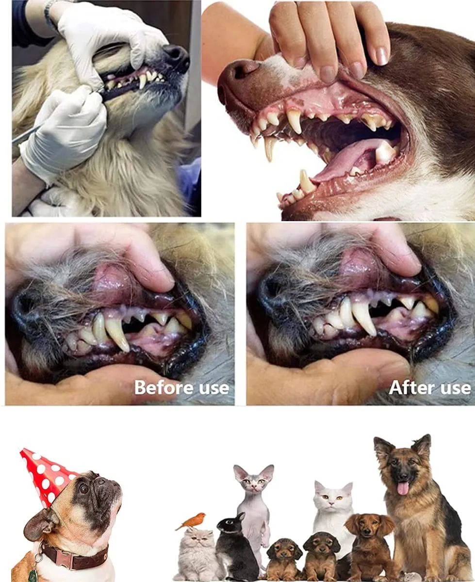 New Dog/Cat Tooth Brushing Kit,Pet Toothbrush Kit,Professional 3 Sided Dog/Cat Toothbrush, Finger Toothbrush,Long Handle Toothbrush,Metal Tools Included,Complete Tooth Cleaning Kit for Pets(15Pcs)