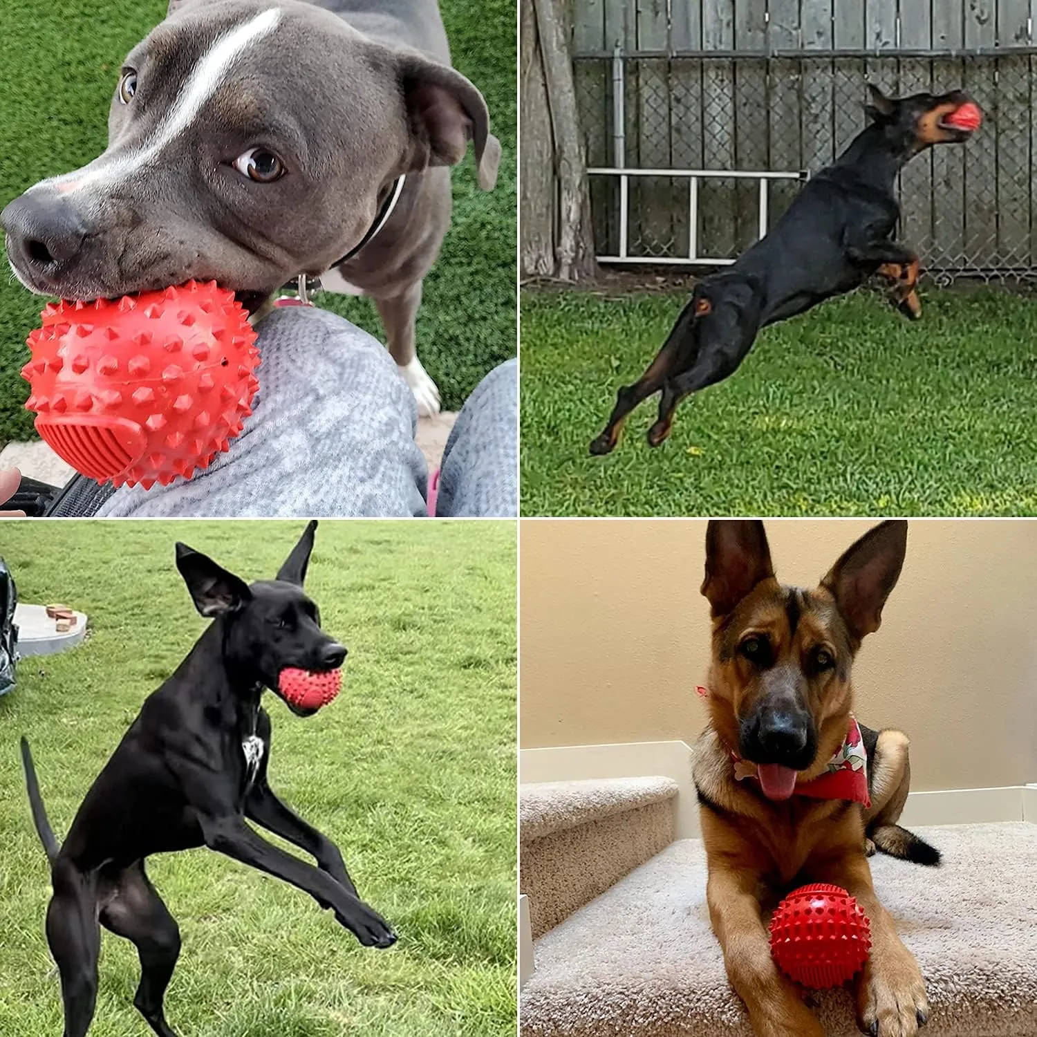 NEW PETIZER Squeaky Dog Ball Toy for Aggressive Chewers,10CM Indestructible Durable Big Dogs Chew Spiky Ball, Floatable Rubber Pet Toys for Medium & Large Breeds, Red