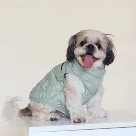 New Pistache Packable Quilted Dog jacket