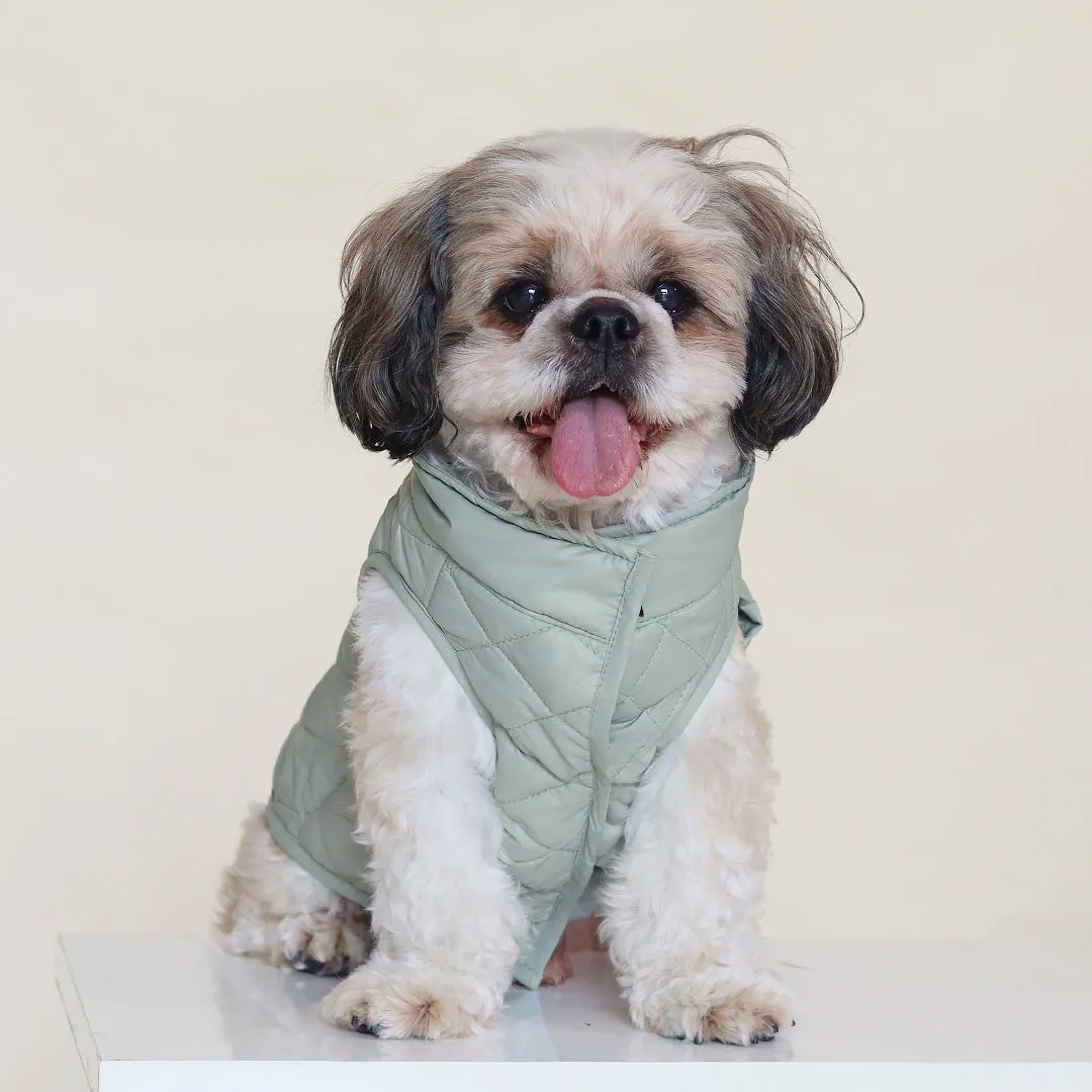 New Pistache Packable Quilted Dog jacket