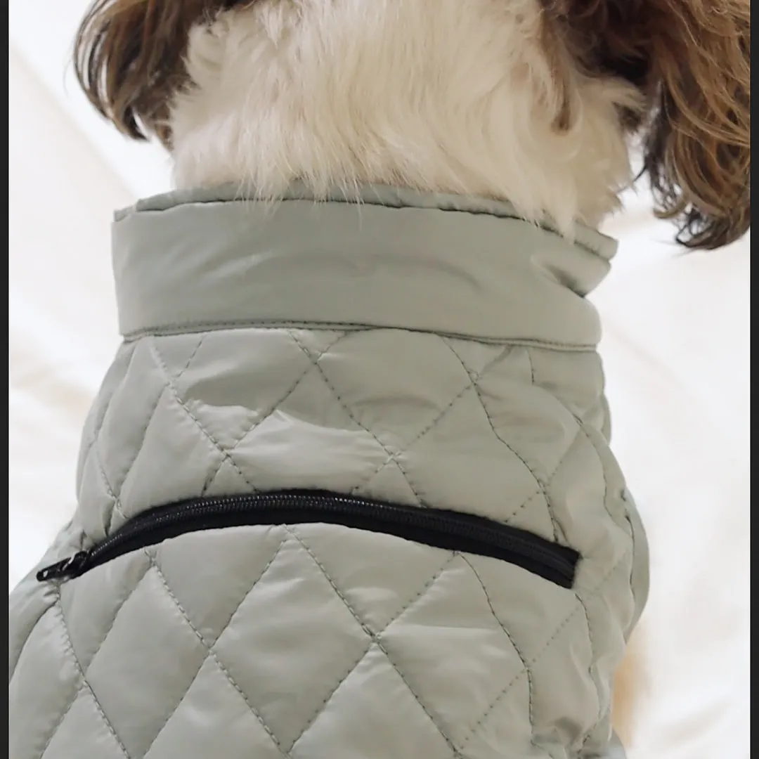 New Pistache Packable Quilted Dog jacket