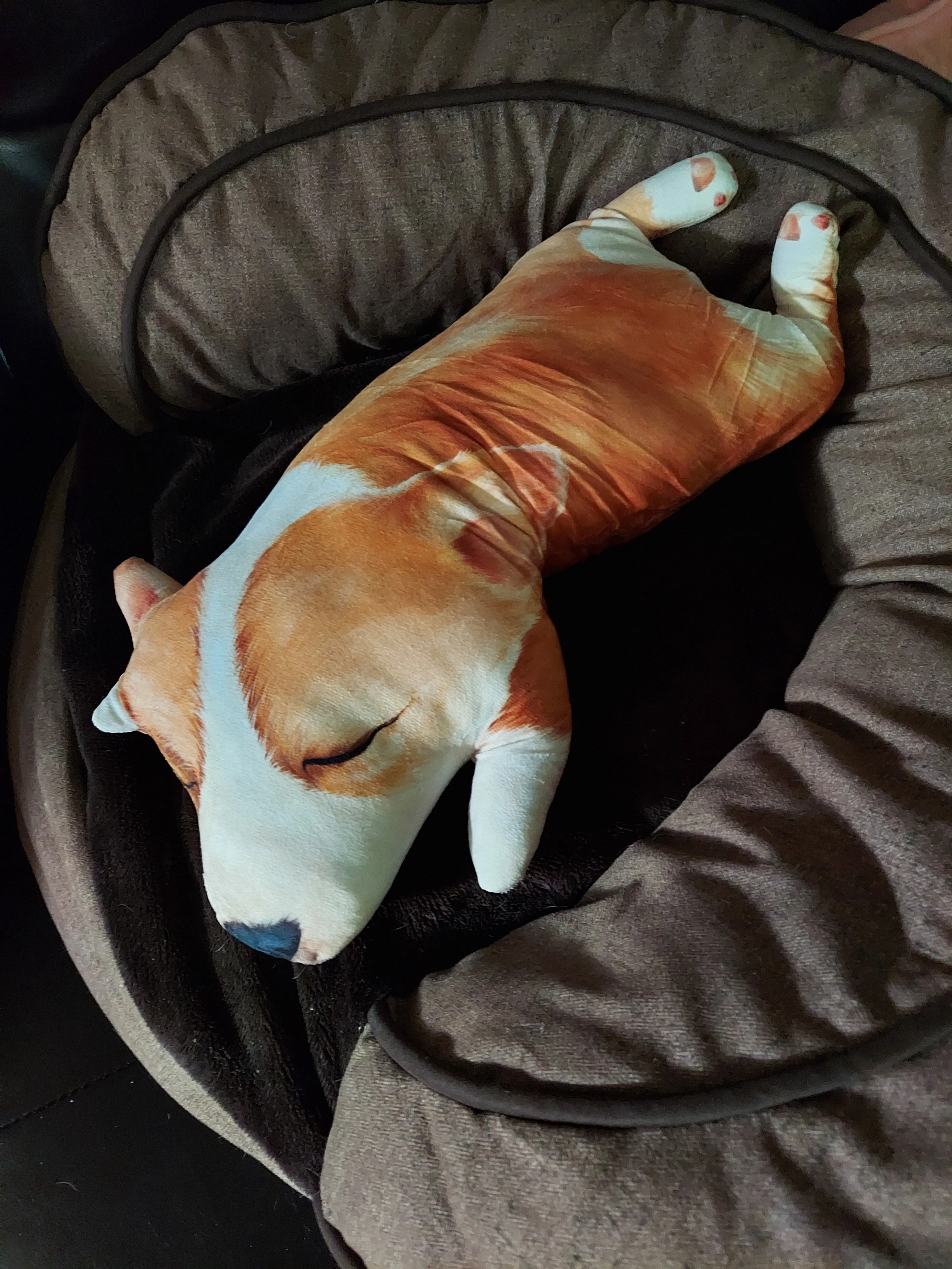 Pembroke Welsh Corgi Dog Body Pillow 4 styles of cuteness