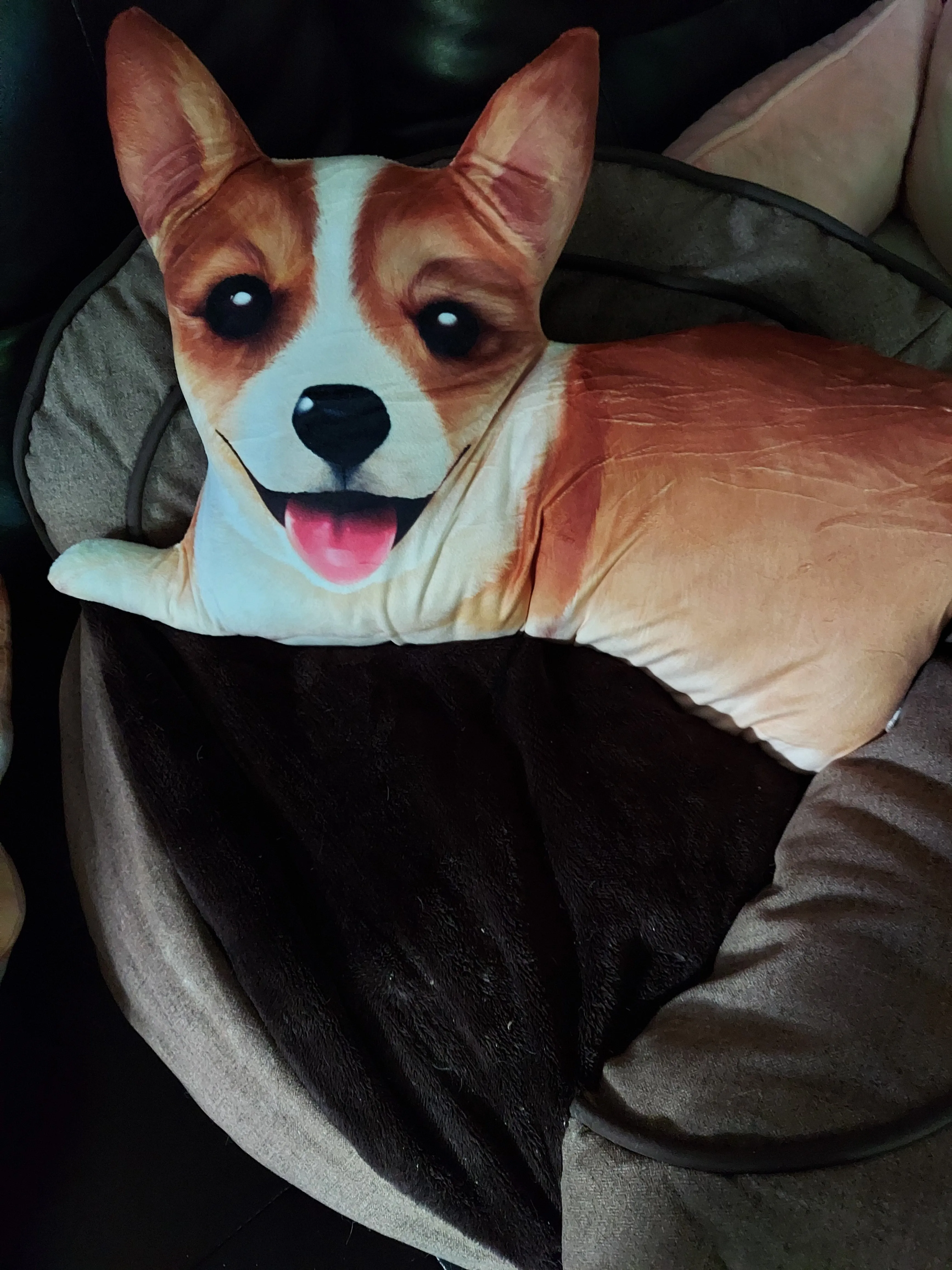 Pembroke Welsh Corgi Dog Body Pillow 4 styles of cuteness