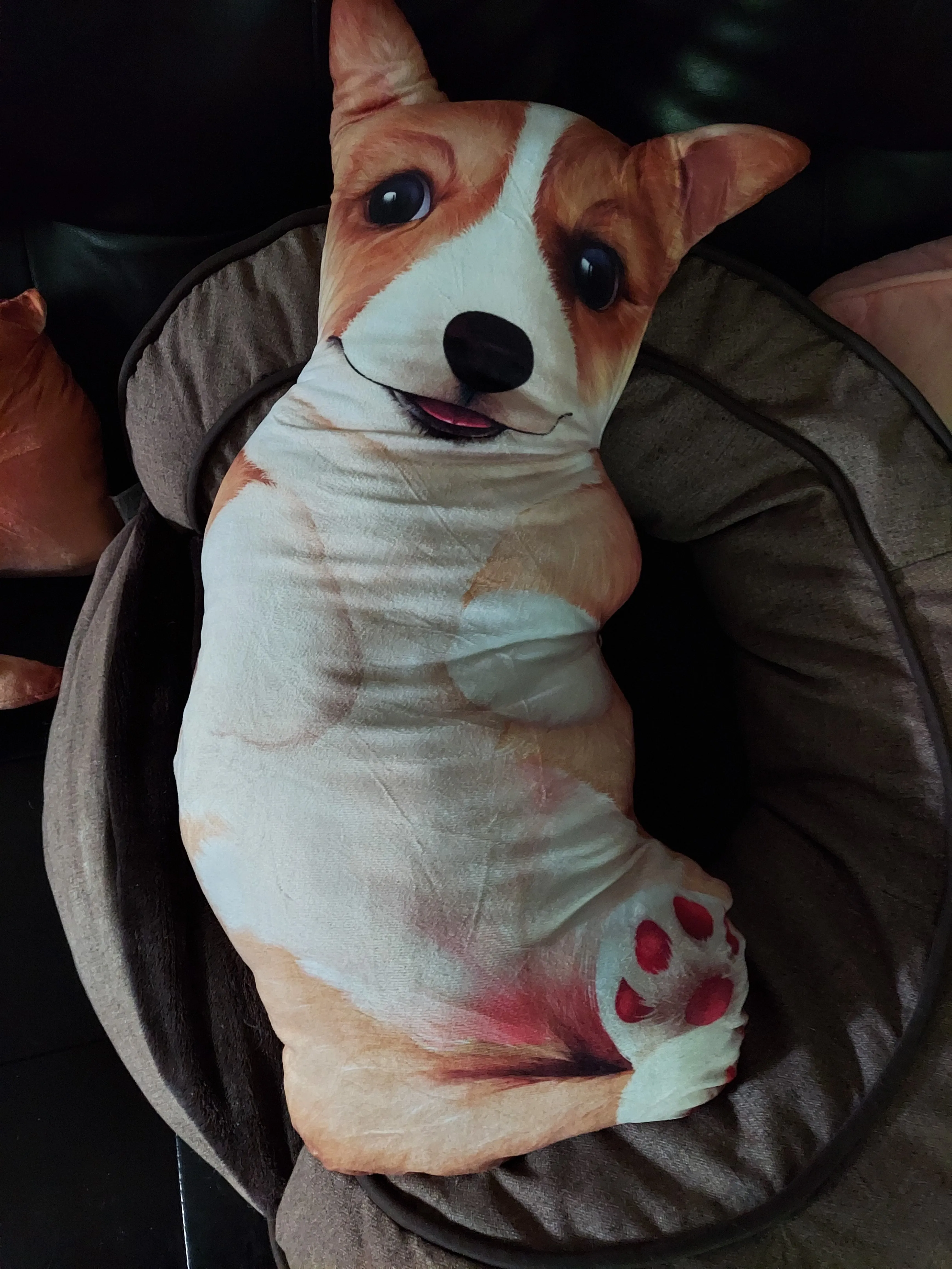 Pembroke Welsh Corgi Dog Body Pillow 4 styles of cuteness