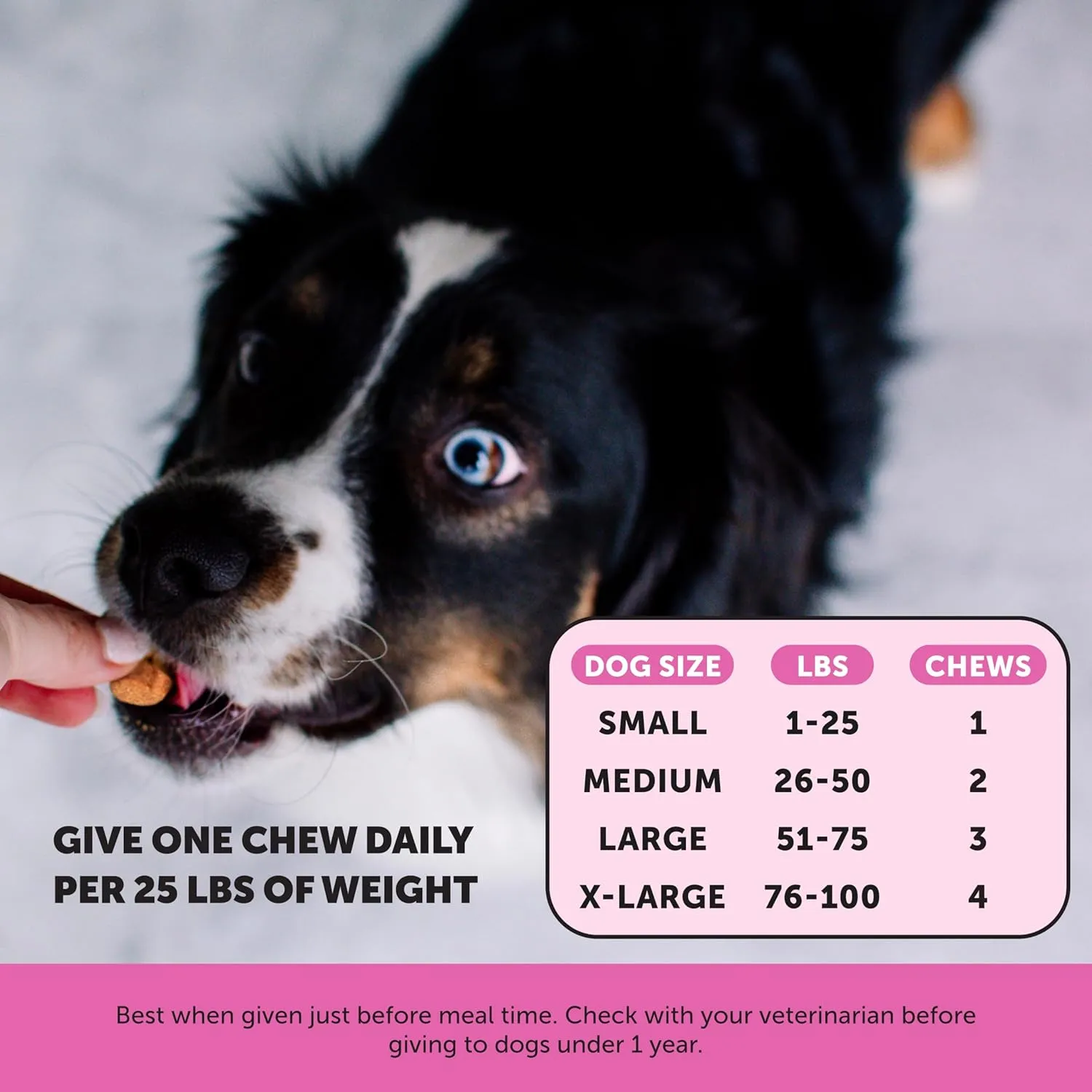 Pet Honesty Dog Multivitamin Max Strength - 15 in 1 Vitamins for Health & Heart - Essentials Fish Oil, Glucosamine, Probiotics, Omega Fish Oil - Multivitamins Supplements for Skin and Coat