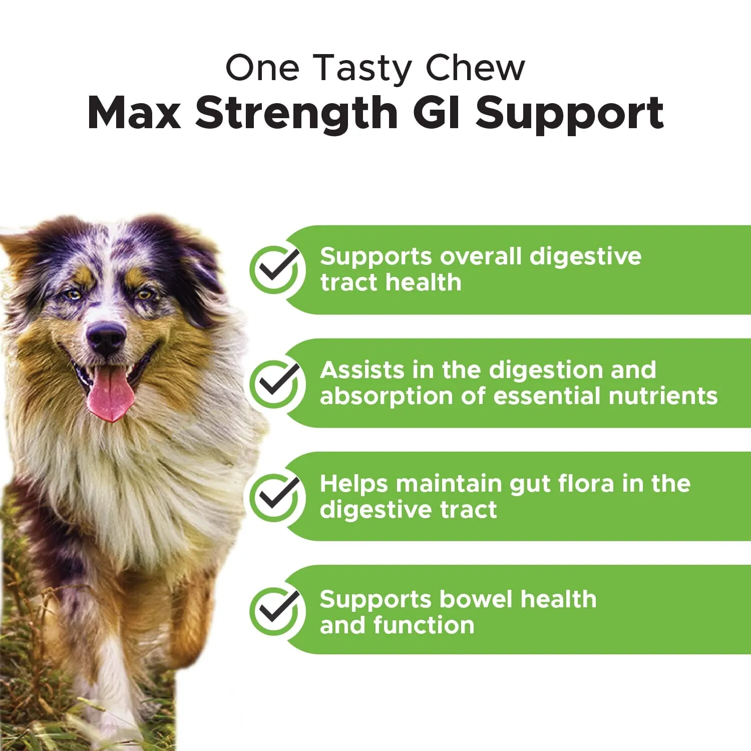 Pet Honesty Super Pooper Solid Stool Digestion Chicken Chewy Dog Supplements - 90 Count - 9.5 Oz
