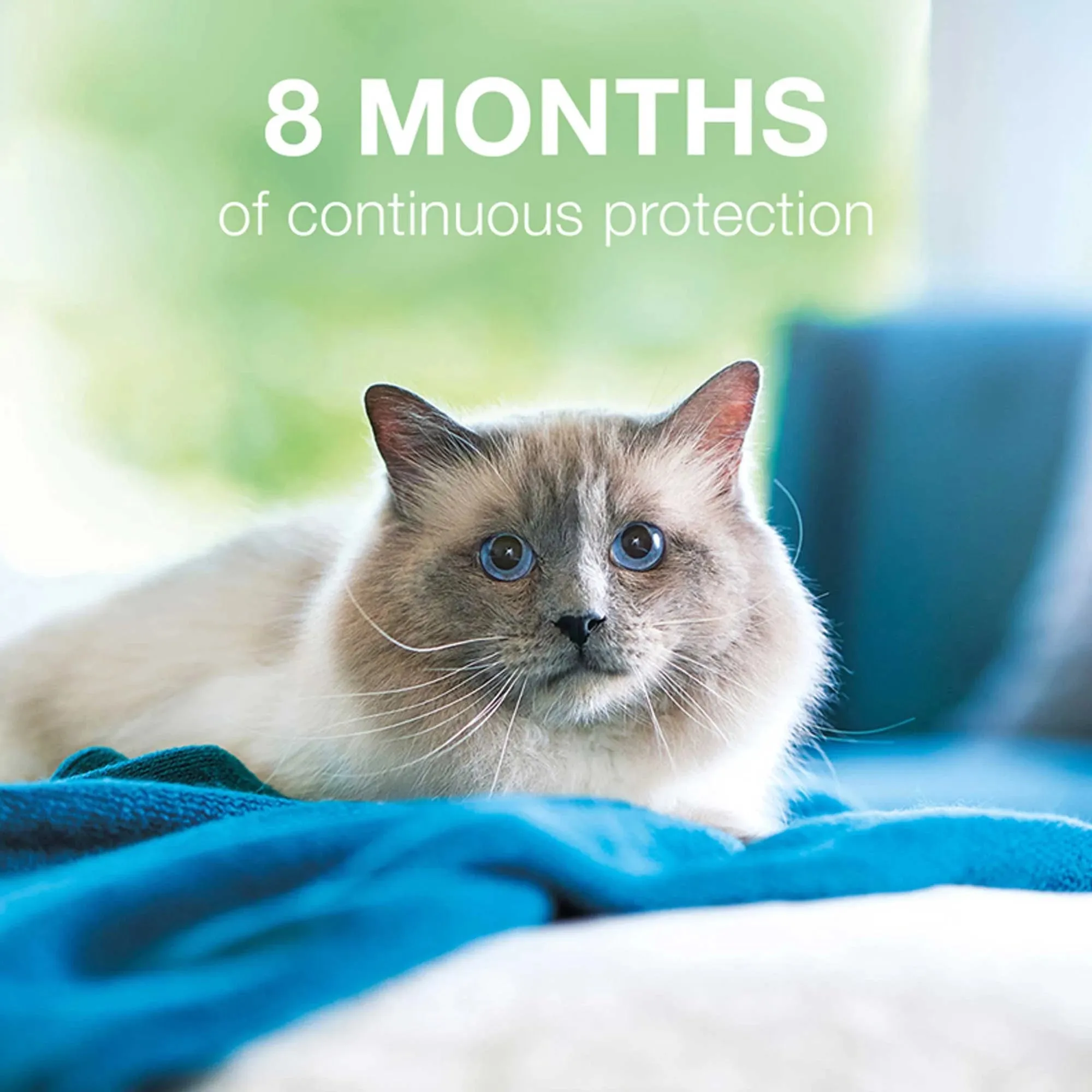 Seresto Flea & Tick Cat Collar