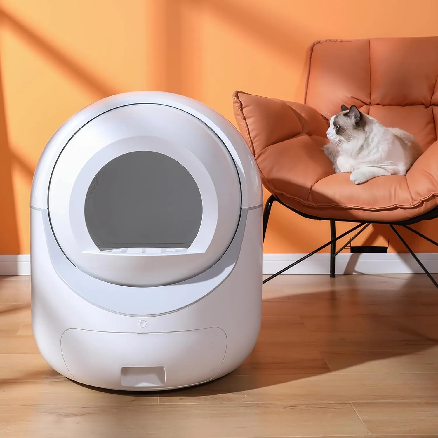 Smart Automatic Cat Litter Box for Stress-Free Care, Scooping and Odor Control, Pet Safety Features, Large Capacity