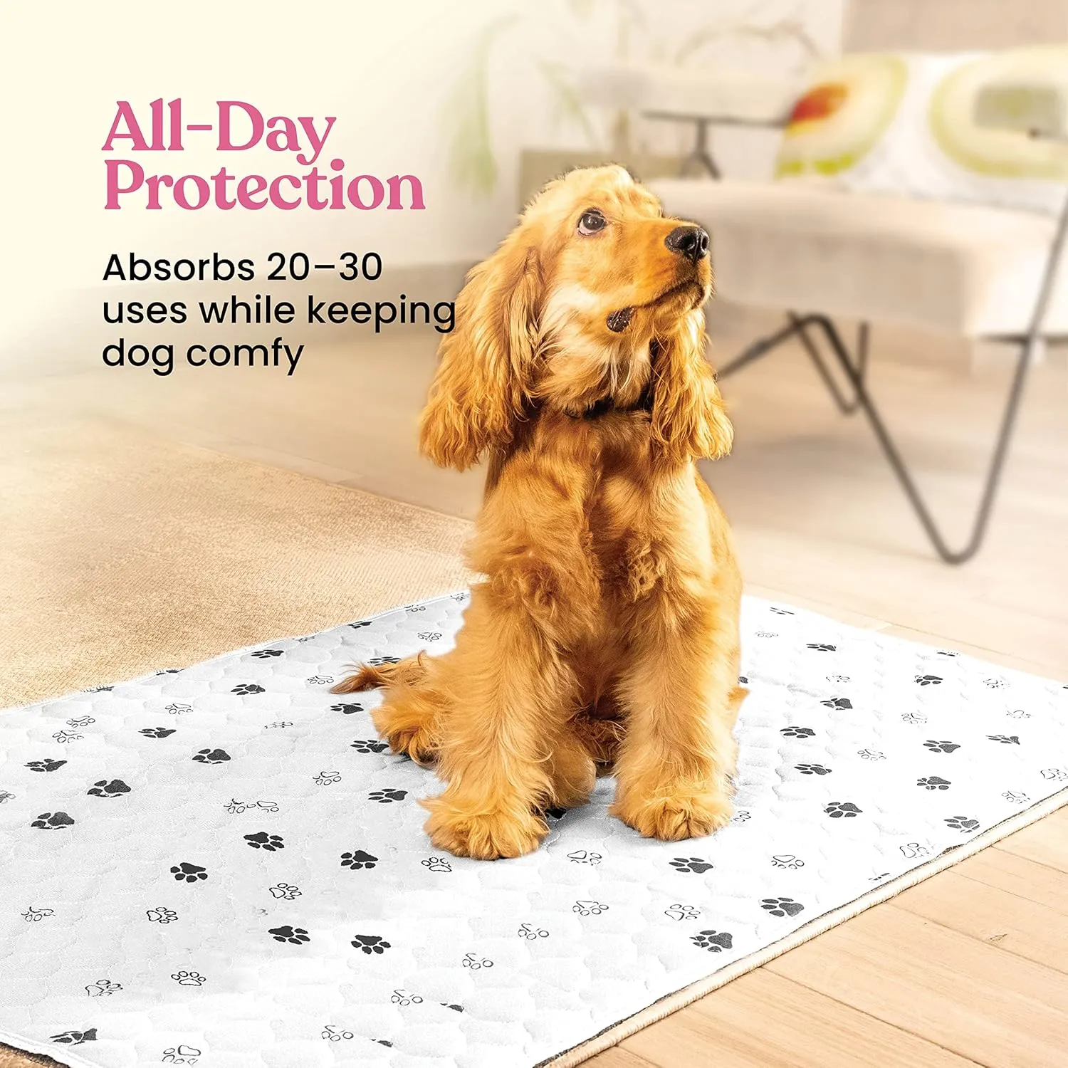 Super Absorbent Washable Pee Pads for Dogs - 2-Pack Superior Reusable Puppy Pads Pet Training Pads 100% Waterproof Dog Pee Pad Protects Against Urine Leakage Non-Slip Grip Prevents Slipping& Bunching