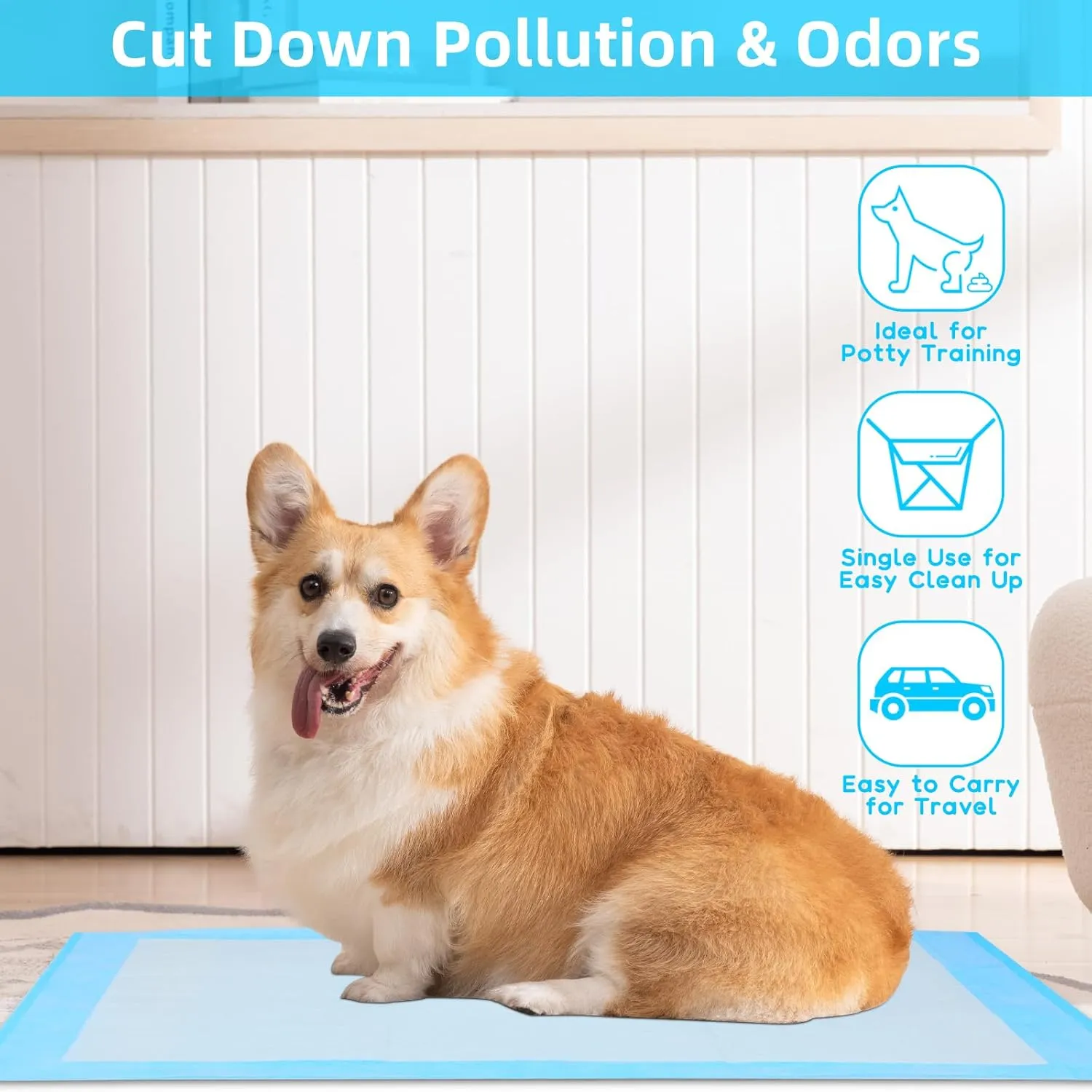 Super Absorbent Waterproof Dog and Puppy Pet Training Pad, Housebreaking Pet Pad, 100-Count Extra Small-Size, 17X24, Blue