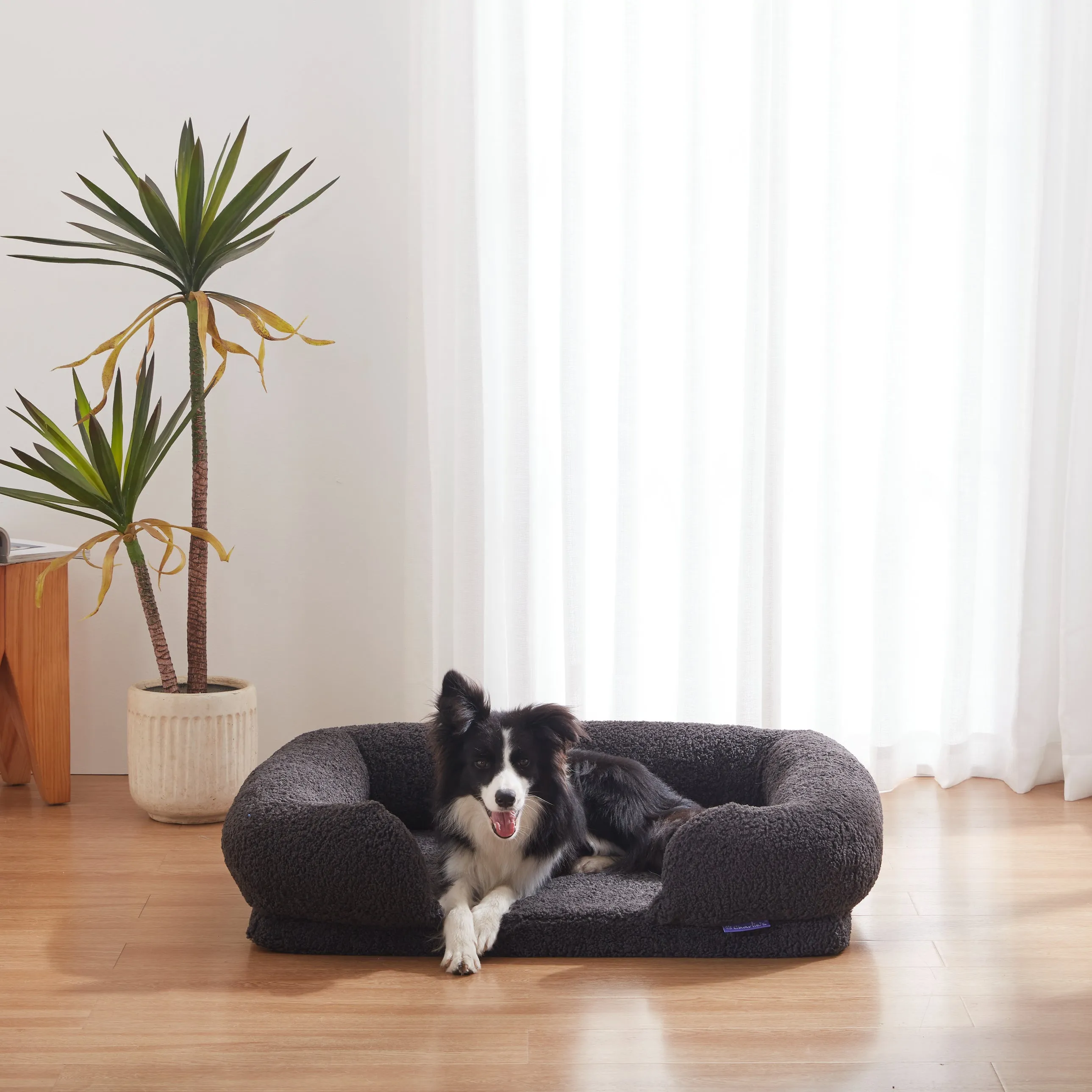 Teddy Fleece Memory Foam Sofa Pet Bed with Bolster - Charcoal
