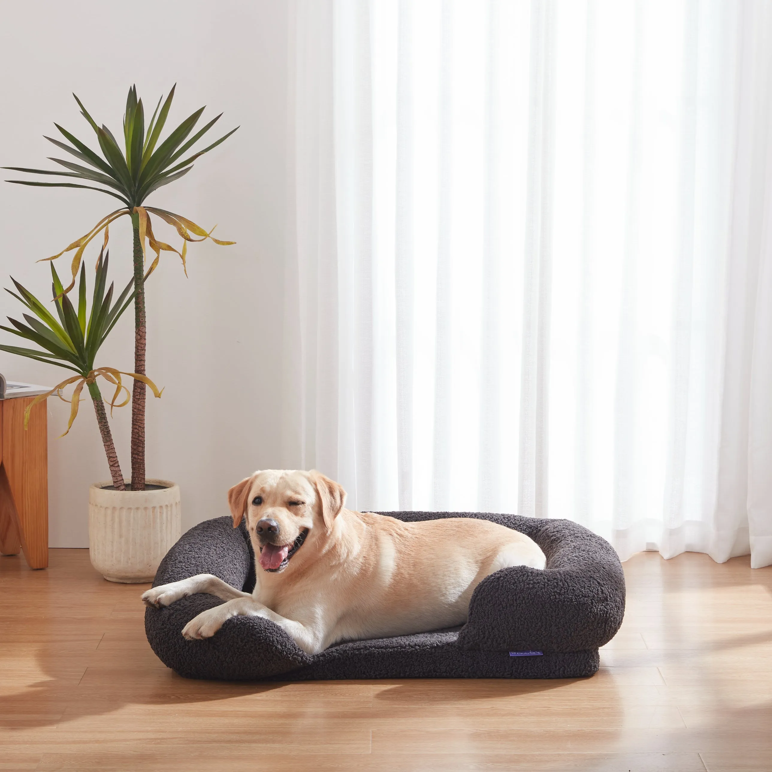 Teddy Fleece Memory Foam Sofa Pet Bed with Bolster - Charcoal