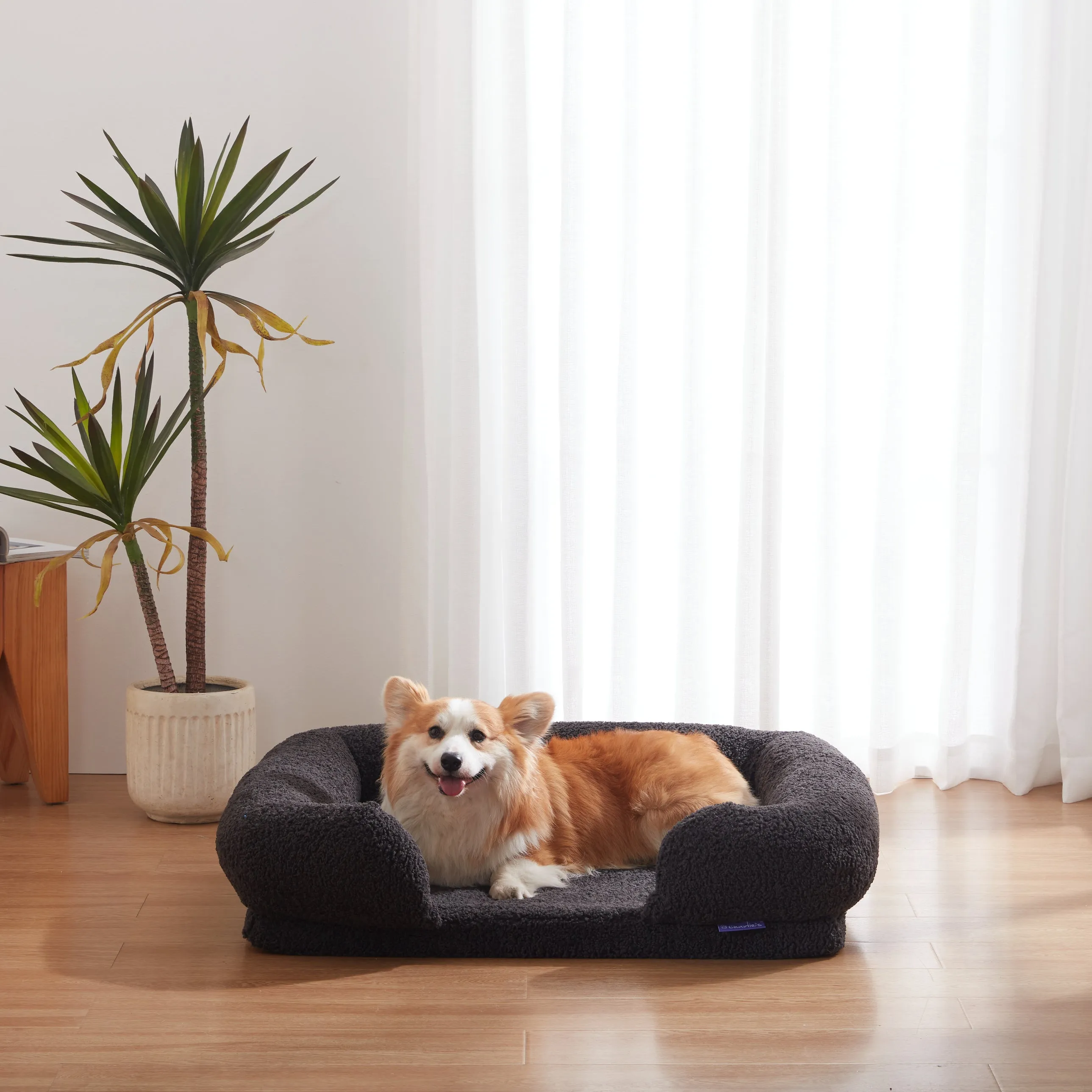 Teddy Fleece Memory Foam Sofa Pet Bed with Bolster - Charcoal