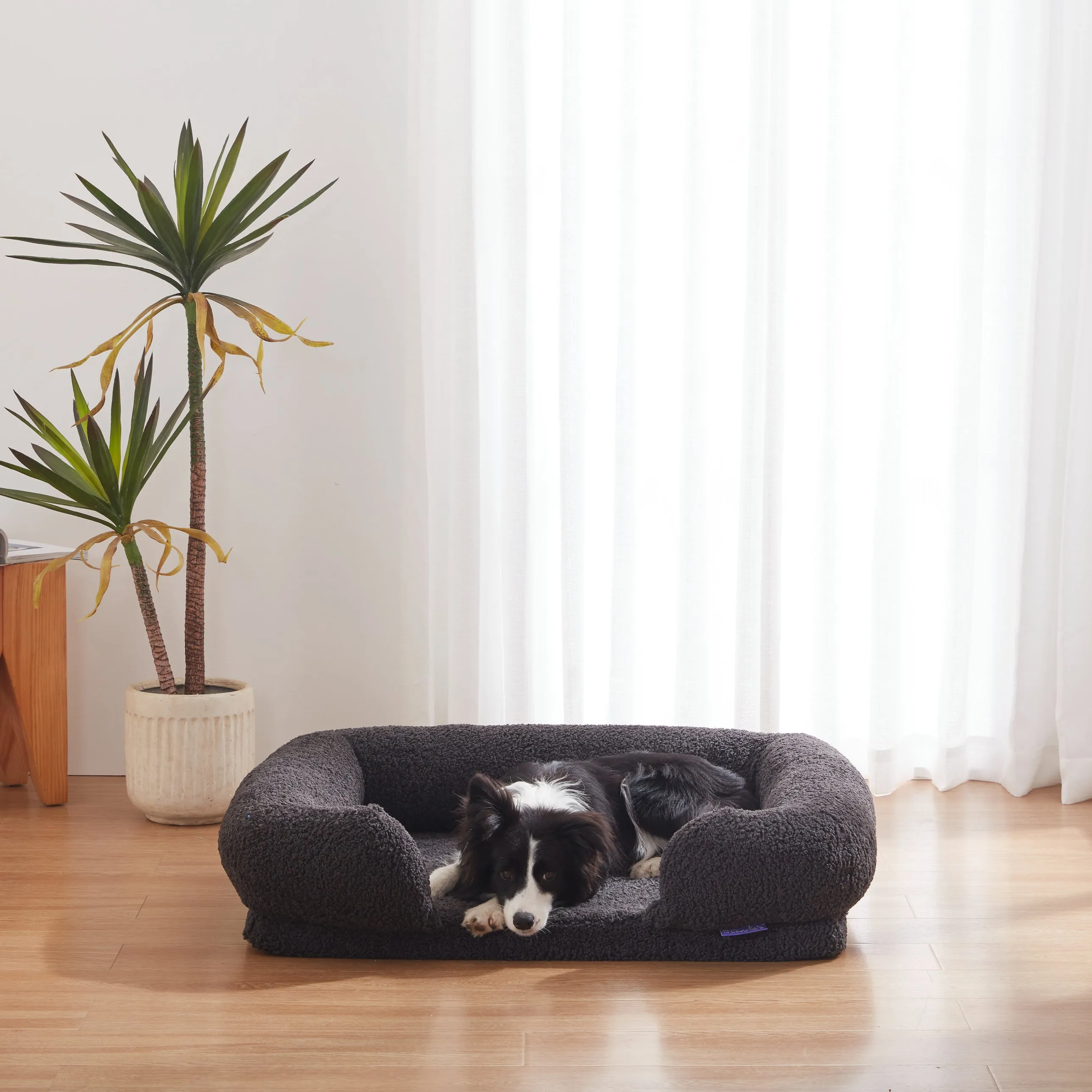 Teddy Fleece Memory Foam Sofa Pet Bed with Bolster - Charcoal