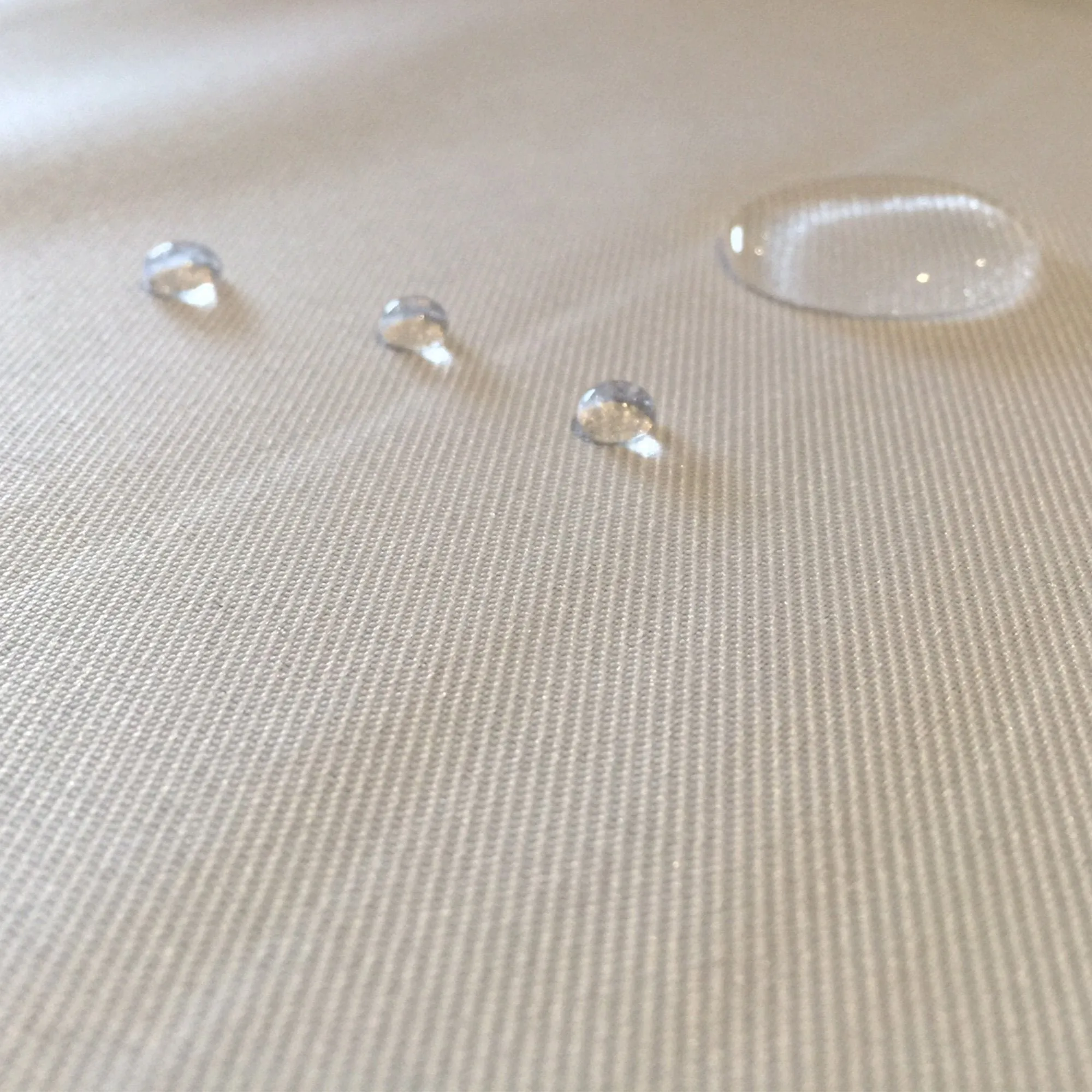 The Protector  - Mattress Protector for Pet Beds  - Waterproof, Anti Bacterial, Anti Microbial