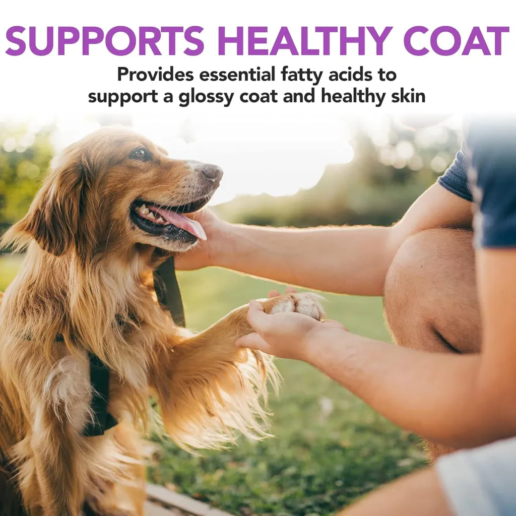 Vet's Best Brewers Yeast and Garlic Flavored Chews for Dogs (60 soft chews)